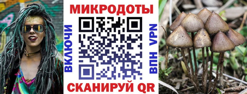 наркошоп  Ишимбай  Галлюциногенные грибы MAGIC MUSHROOMS 